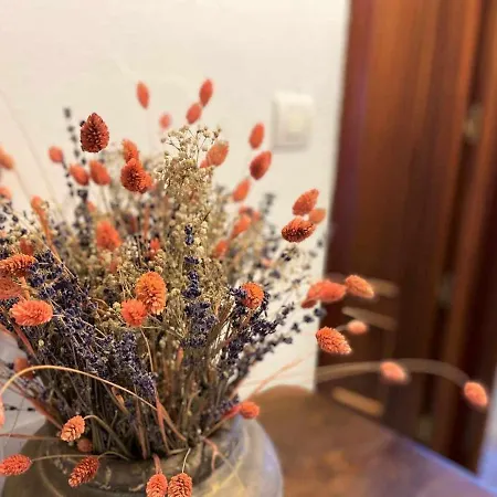 Casa Maribel Vv-2009-as *