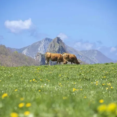 Casa Maribel Vv-2009-as בית נופש *
