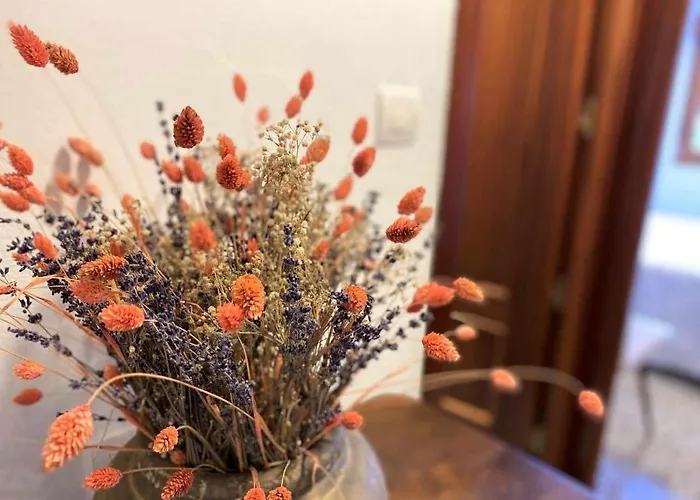 Casa Maribel Vv-2009-as *