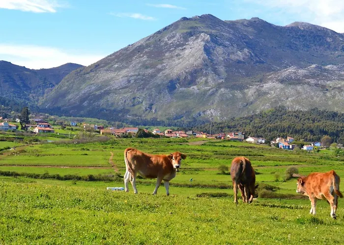 Casa Maribel Vv-2009-as *