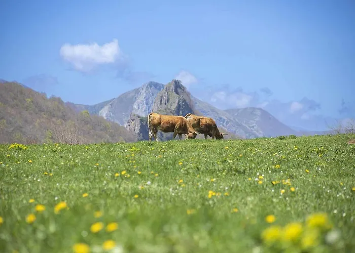 Casa Maribel Vv-2009-as Σπίτι διακοπών *